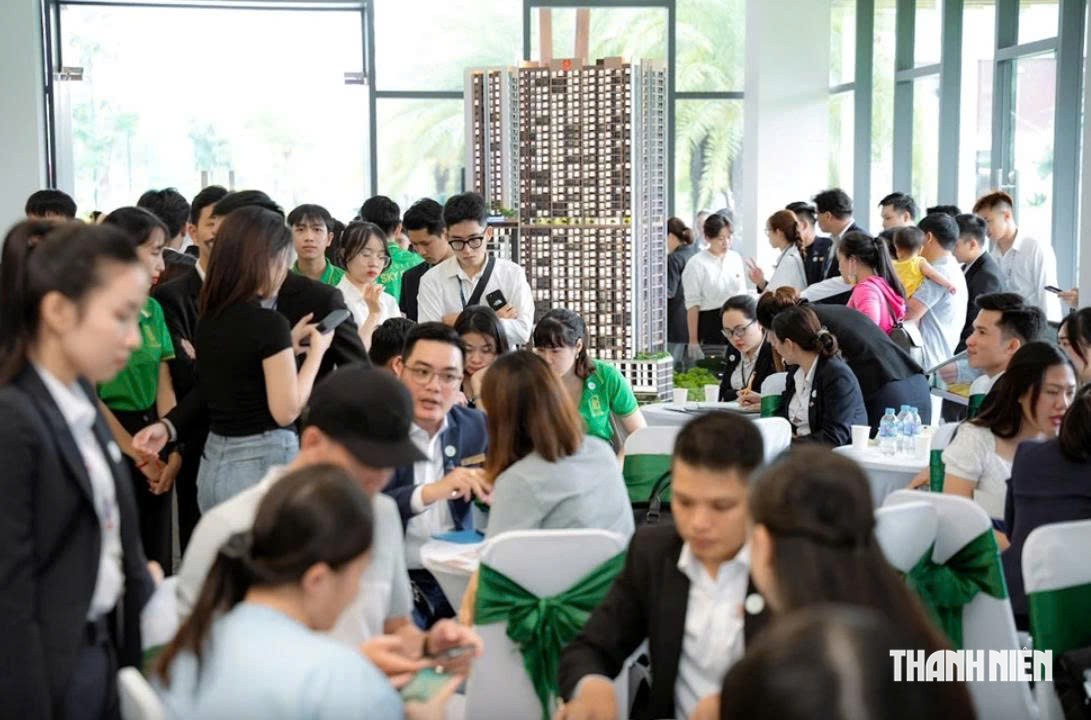 Giáo viên, bác sĩ, luật sư… thu nhập 'khủng' có thể bị truy thu thuế ra sao?- Ảnh 2.