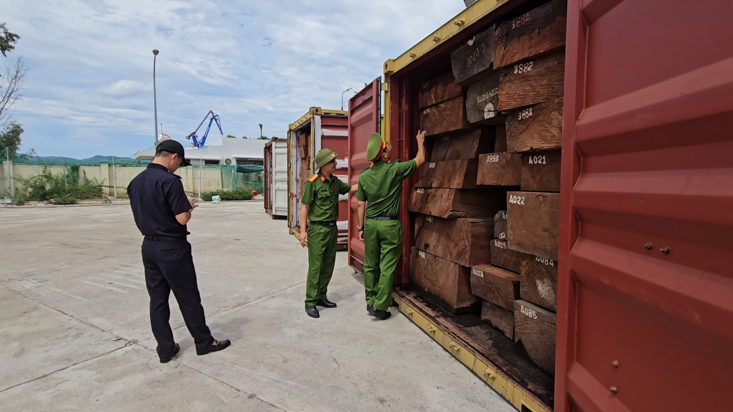 Công an phát hiện hơn 1,1 tấn ngà voi ngụy trang trong 2 container gỗ - Ảnh 1.