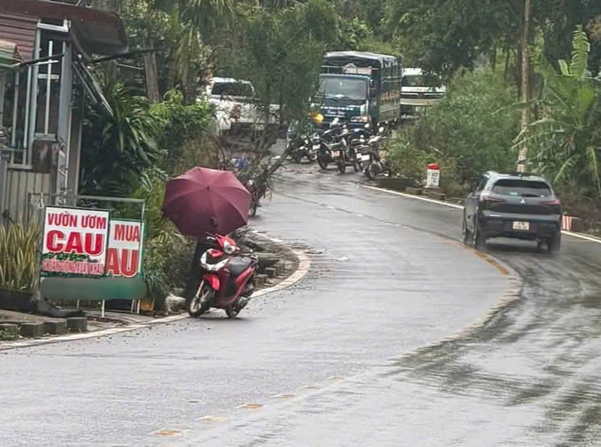 Vụ nữ nhân viên thư viện tử vong: Bắt tạm giam nghi phạm- Ảnh 1.