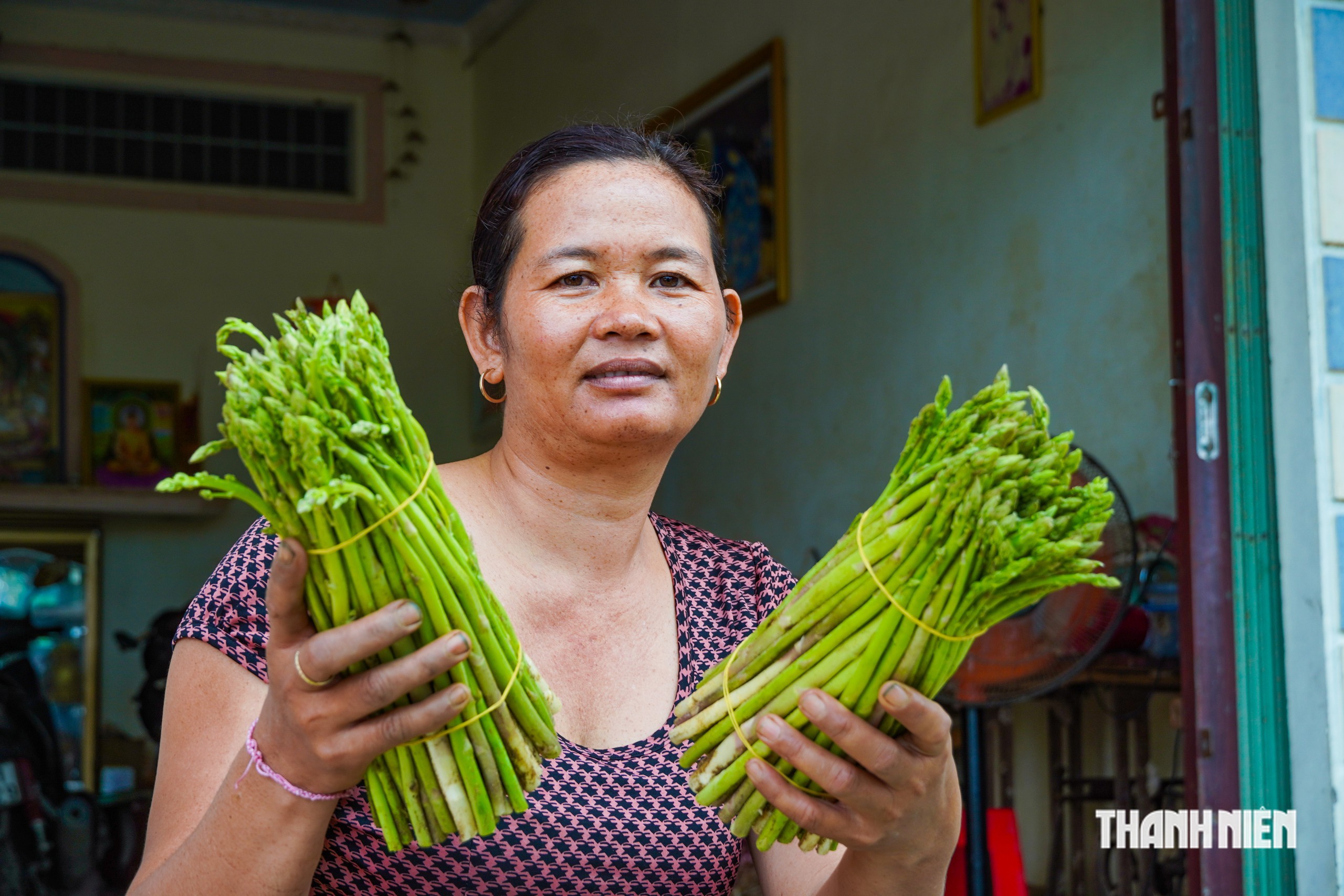 Trồng măng tây trên vùng cát ven biển, nông dân có tiền 'rủng rỉnh' mỗi ngày- Ảnh 6.
