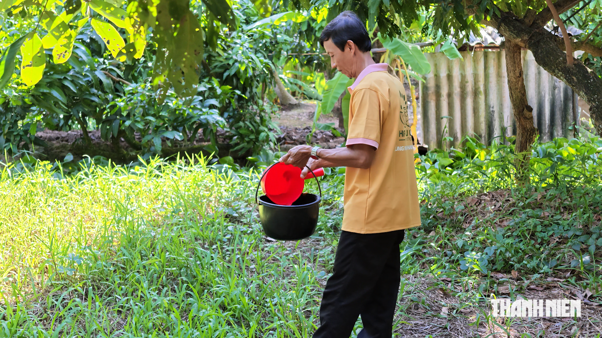 C&ugrave;ng sống xanh 161: Khi c&acirc;y nh&atilde;n hồi sinh, khỏe mạnh nhờ IMO  - Ảnh 3.