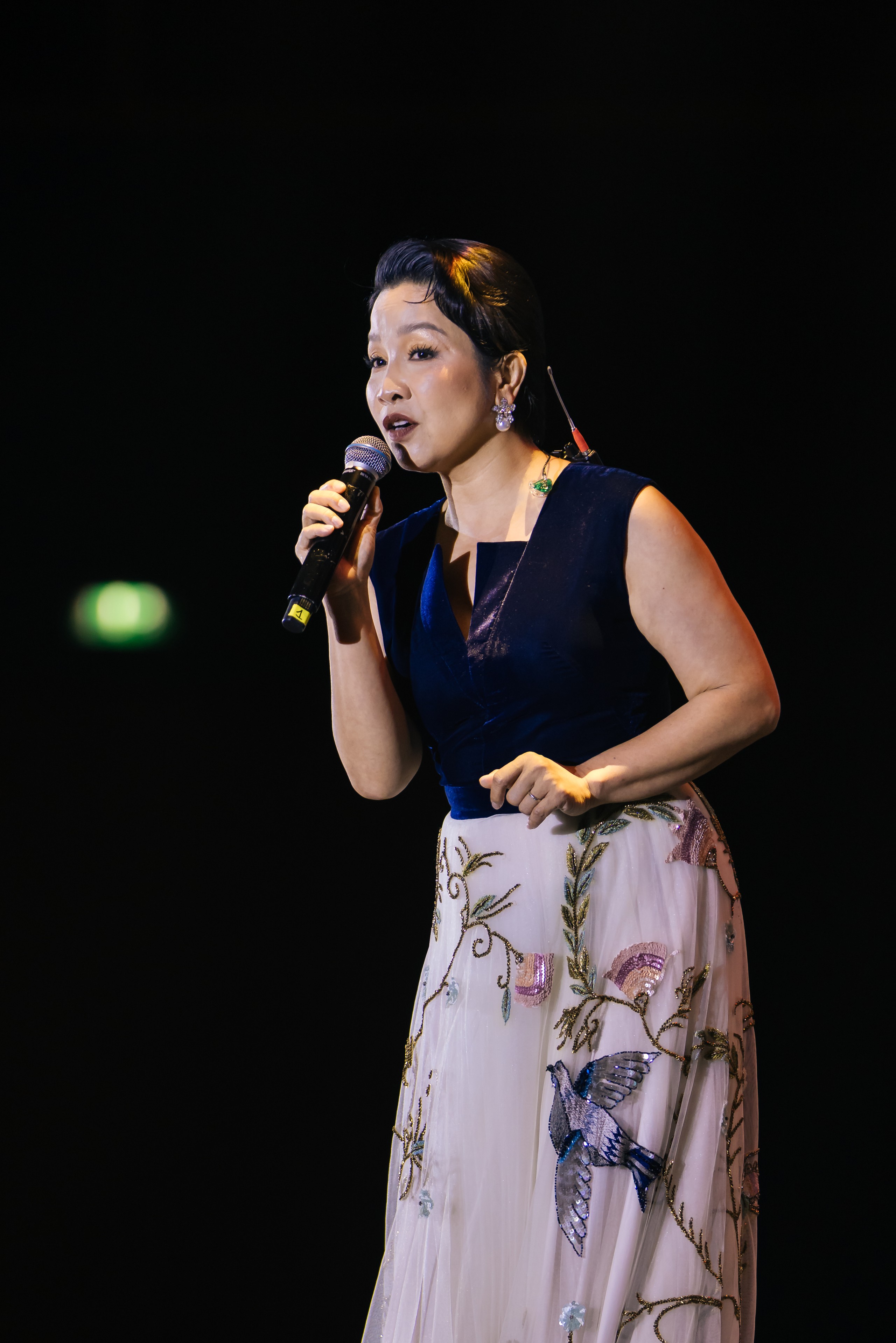 Thanh Lam 'nhường' bài tủ, Lệ Quyên gây xúc động trong đêm nhạc tưởng nhớ Thanh Tùng- Ảnh 4.