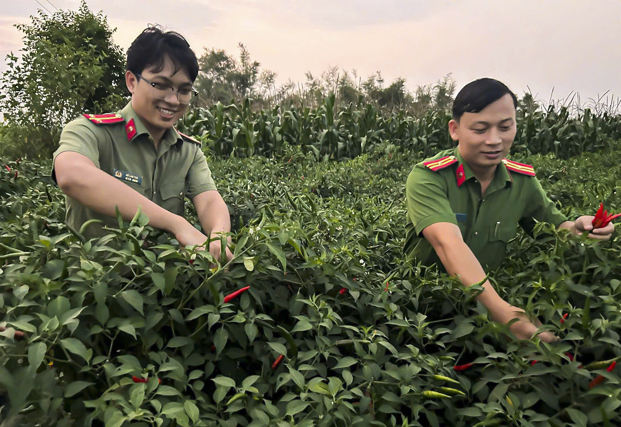 5 ngày để học trò thay đổi- Ảnh 10.