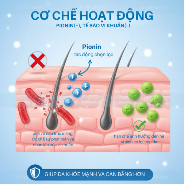 Pionin (quaternium -73) l&agrave; g&igrave;? T&aacute;c dụng với da mụn v&agrave; c&aacute;ch sử dụng chuẩn y khoa- Ảnh 7.