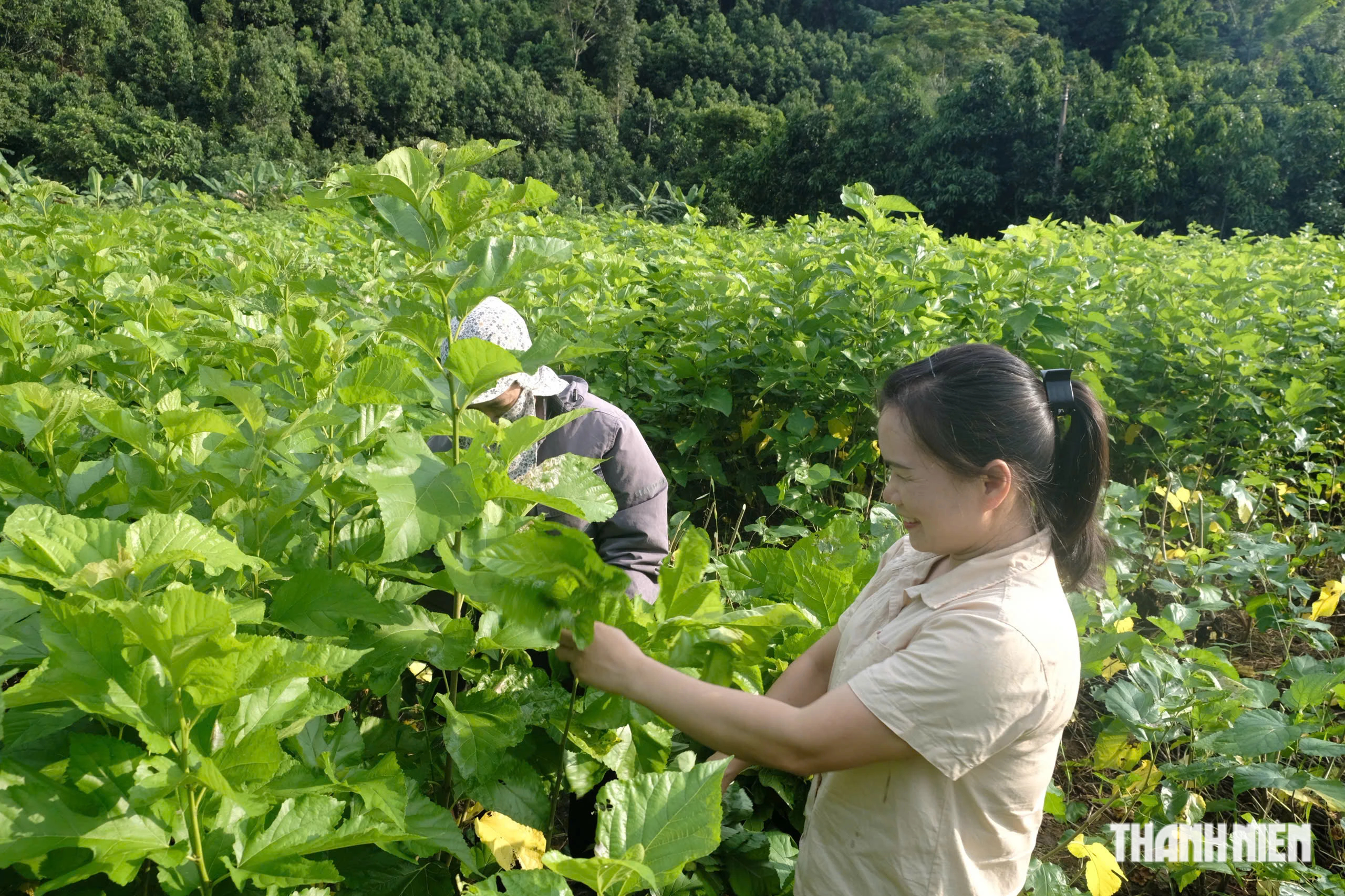 Nữ trưởng thôn ở Lào Cai của đồng bào Dao, Thái, Tày, Nùng- Ảnh 1.