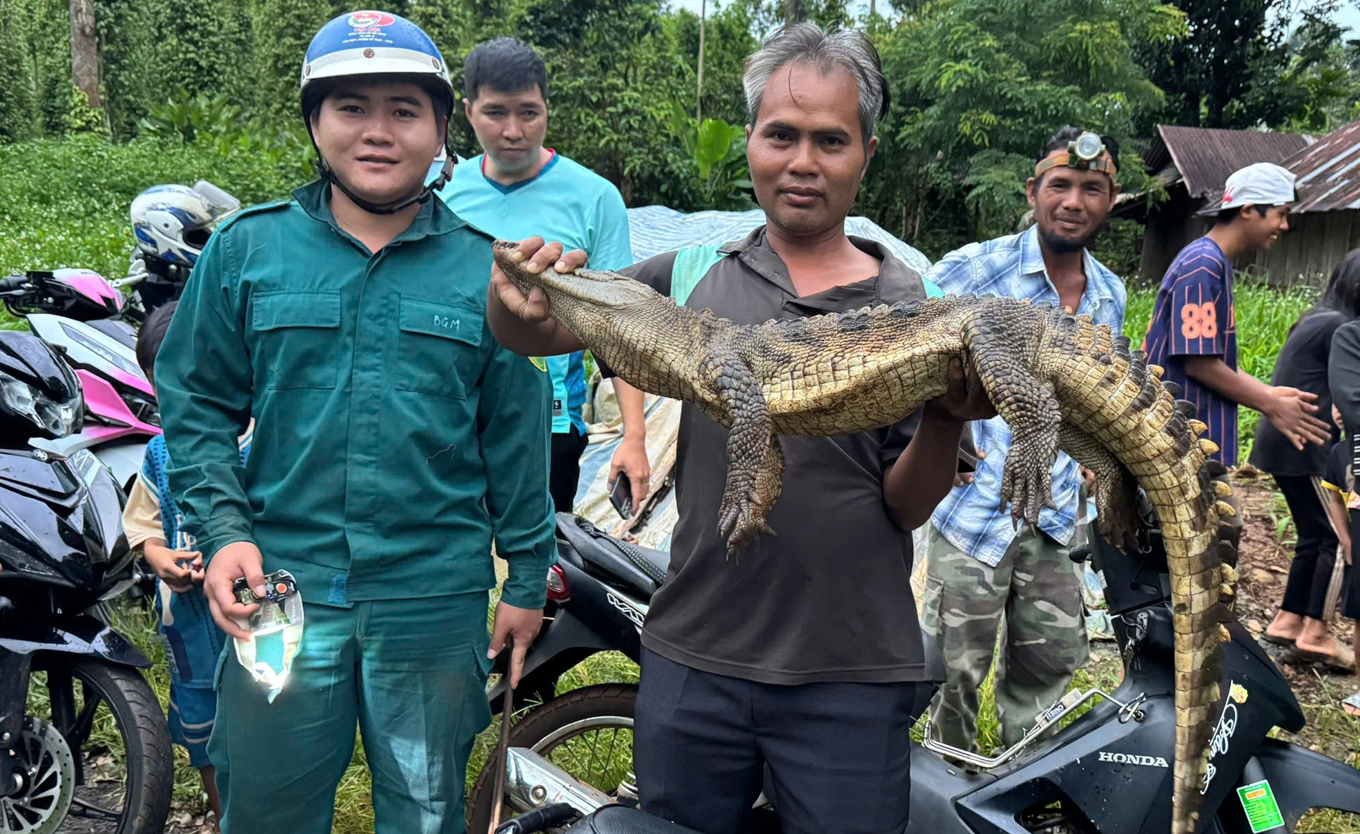 Đồng Nai: Đã bắt cá sấu hơn 10 kg dưới suối, sau hơn 20 ngày truy tìm - Ảnh 1.