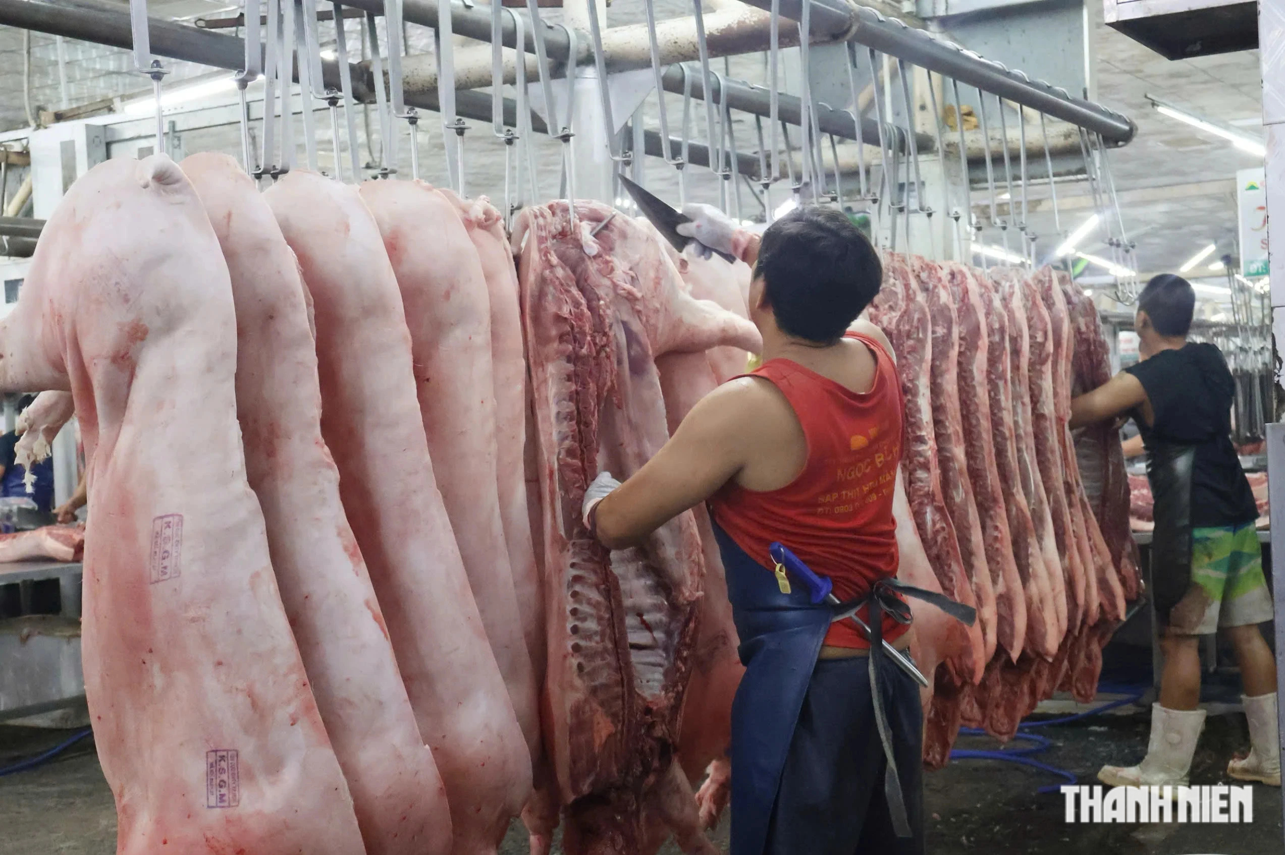 Mỗi ngày TP.HCM giết mổ hơn 858 tấn thịt, kiểm soát an toàn thực phẩm ra sao? - Ảnh 2.