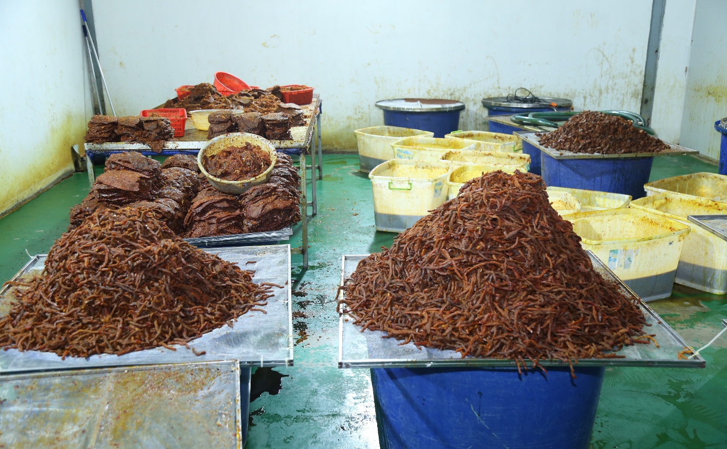 Đồng Nai: Triệt phá đường dây 'phù phép' thịt trâu thành khô bò - Ảnh 1.