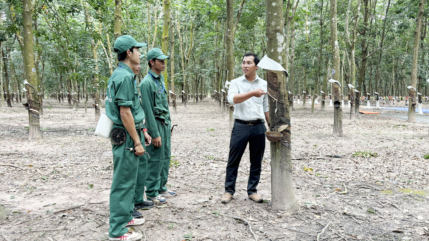 Những sáng kiến nảy mầm trên đất Kampong Thom- Ảnh 2.