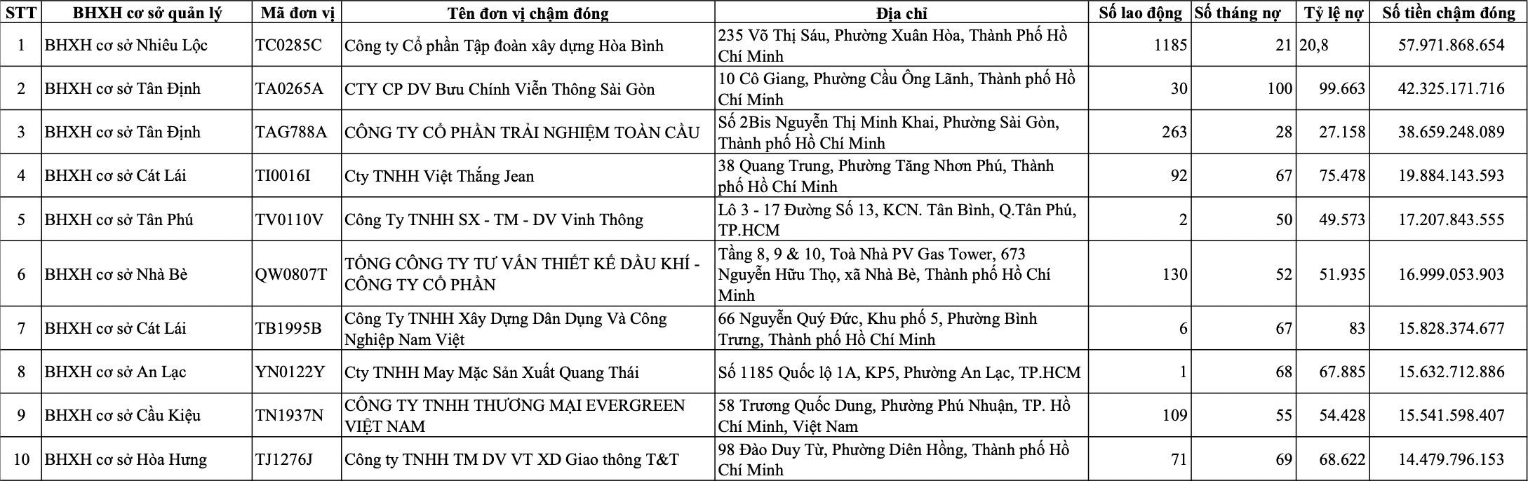 100 doanh nghiệp ở TP.HCM còn hoạt động nợ BHXH hơn 600 tỉ đồng- Ảnh 1.