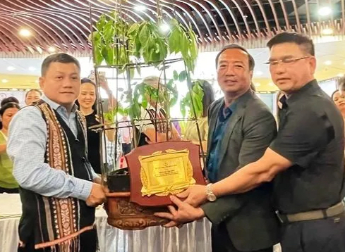 Củ sâm Ngọc Linh hơn 35 năm tuổi được đấu giá 725 triệu đồng- Ảnh 1.