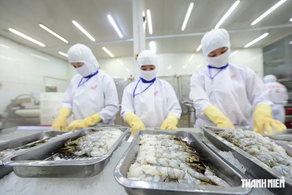 C&aacute;c FTA tạo c&uacute; h&iacute;ch cho xuất khẩu - Ảnh 1.