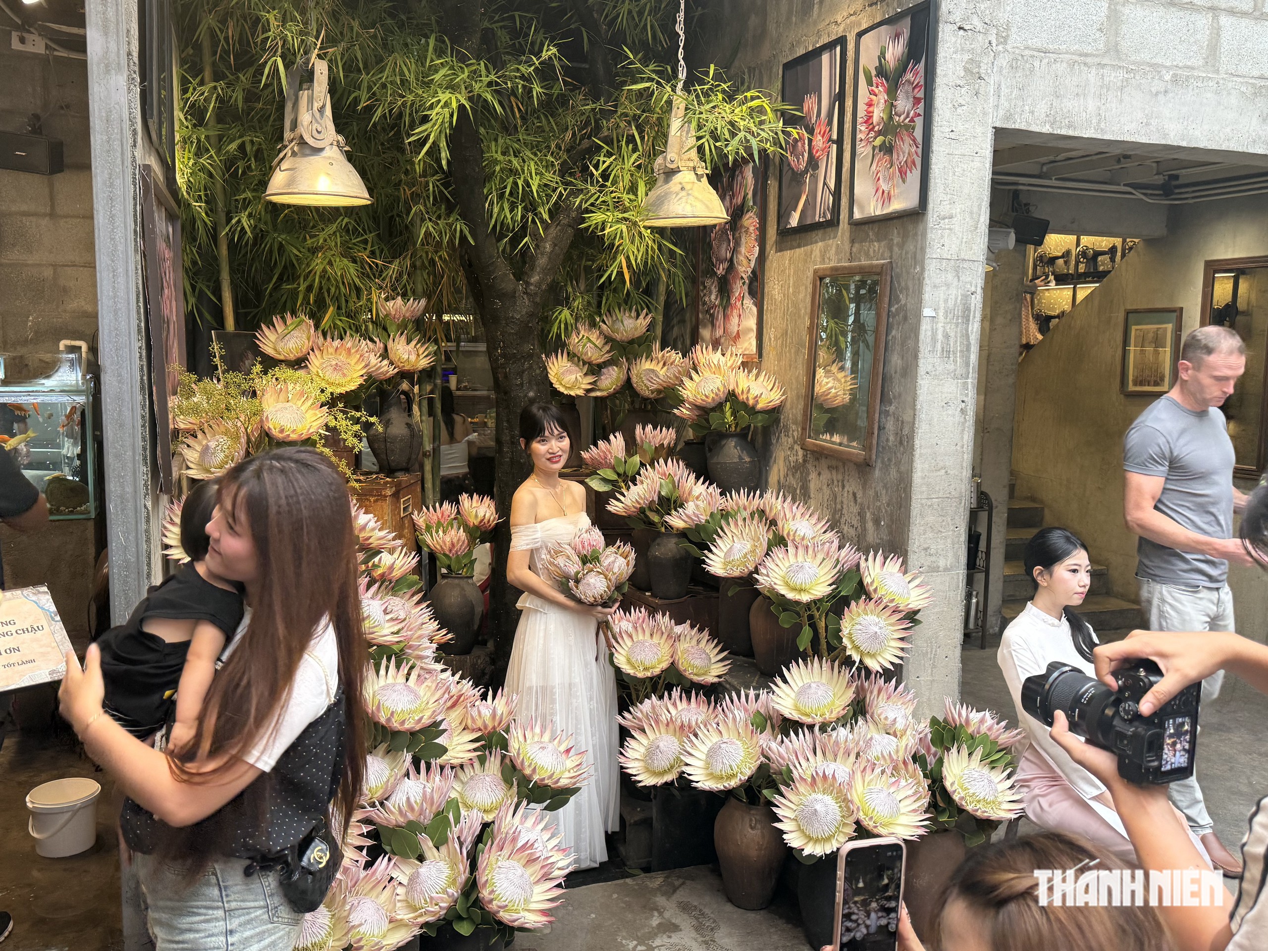‘Hoa nhà giàu’ 700.000 đồng/cành khiến giới trẻ rần rần xếp hàng dài check-in - Ảnh 3.