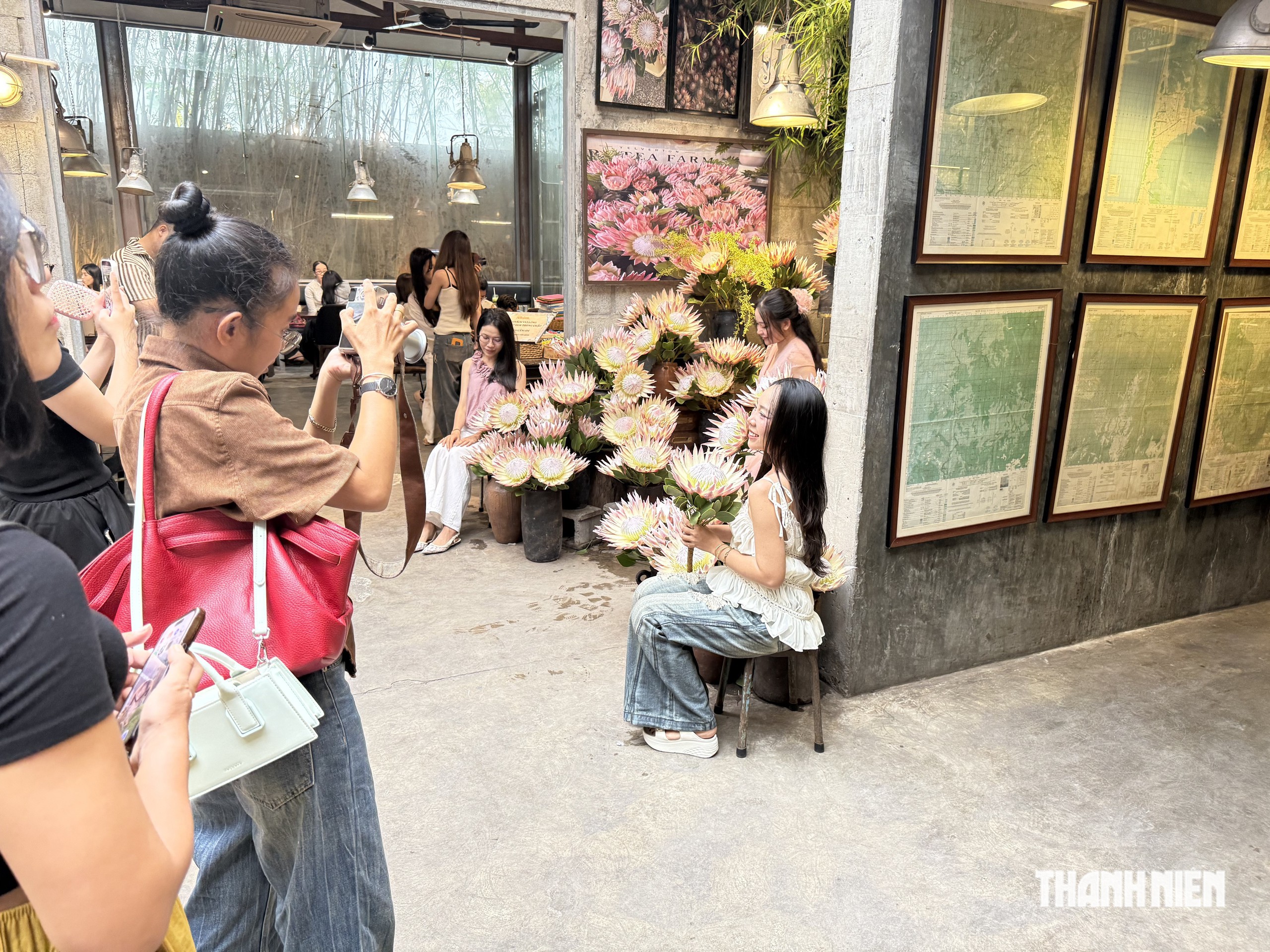 ‘Hoa nhà giàu’ 700.000 đồng/cành khiến giới trẻ rần rần xếp hàng dài check-in - Ảnh 6.