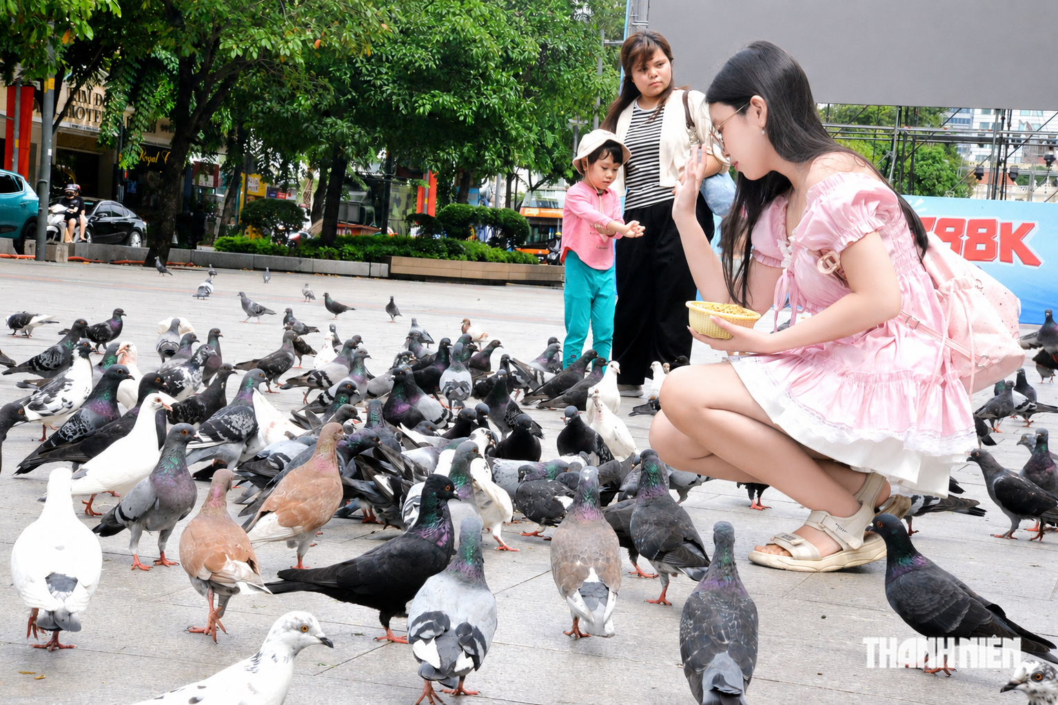 Đàn bồ câu khiến giới trẻ mê tít ở phố đi bộ Nguyễn Huệ do ai nuôi? - Ảnh 1.