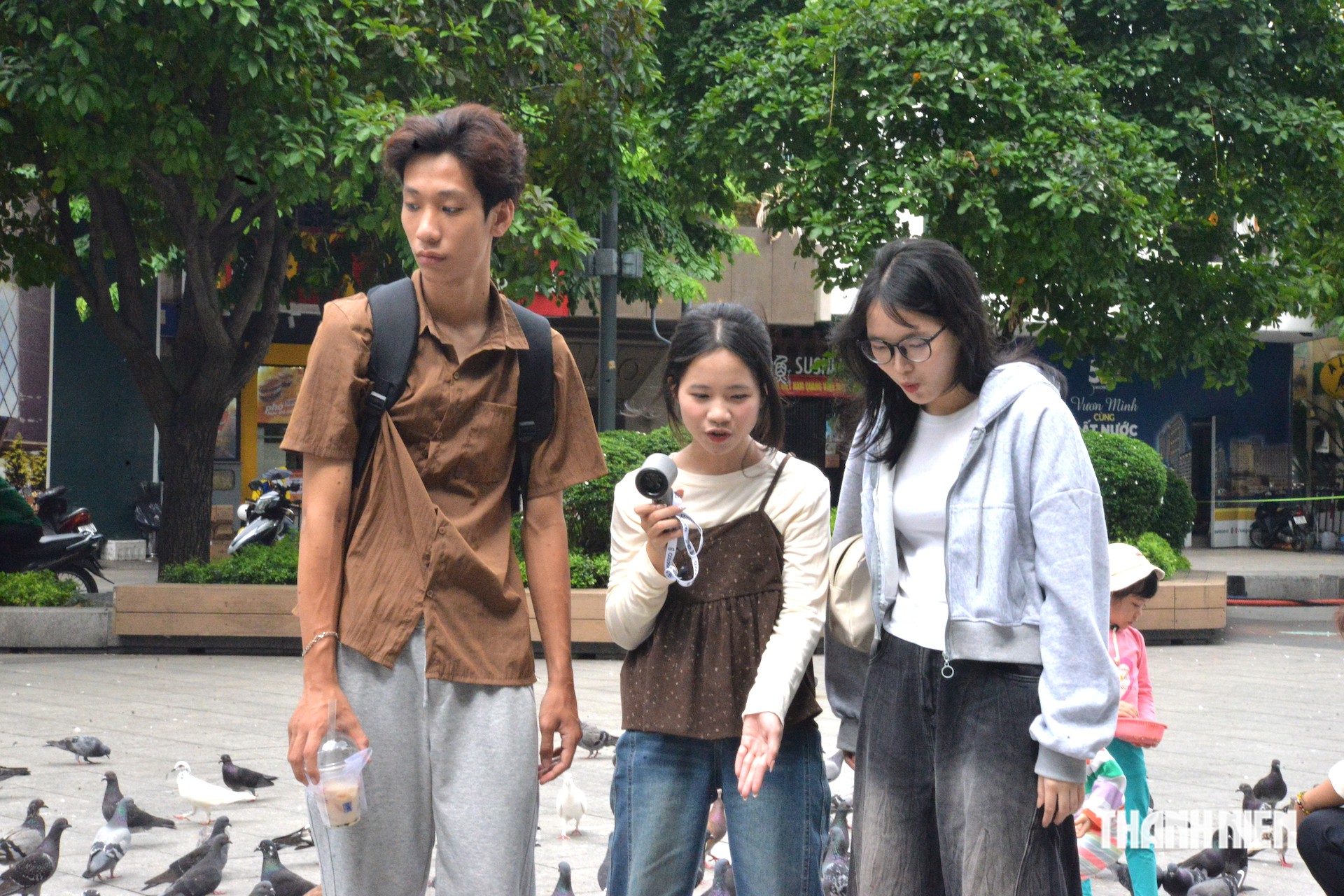Đàn bồ câu khiến giới trẻ mê tít ở phố đi bộ Nguyễn Huệ do ai nuôi? - Ảnh 2.