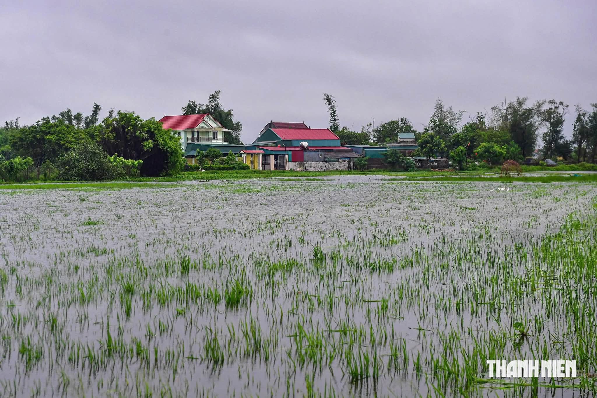 Hà Tĩnh: Đi thăm đồng, 2 người bị sét đánh thương vong - Ảnh 1.