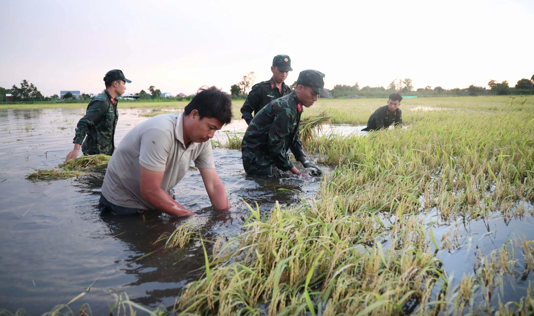 Nước đang về ĐBSCL nhưng lũ vẫn thấp
- Ảnh 1.
