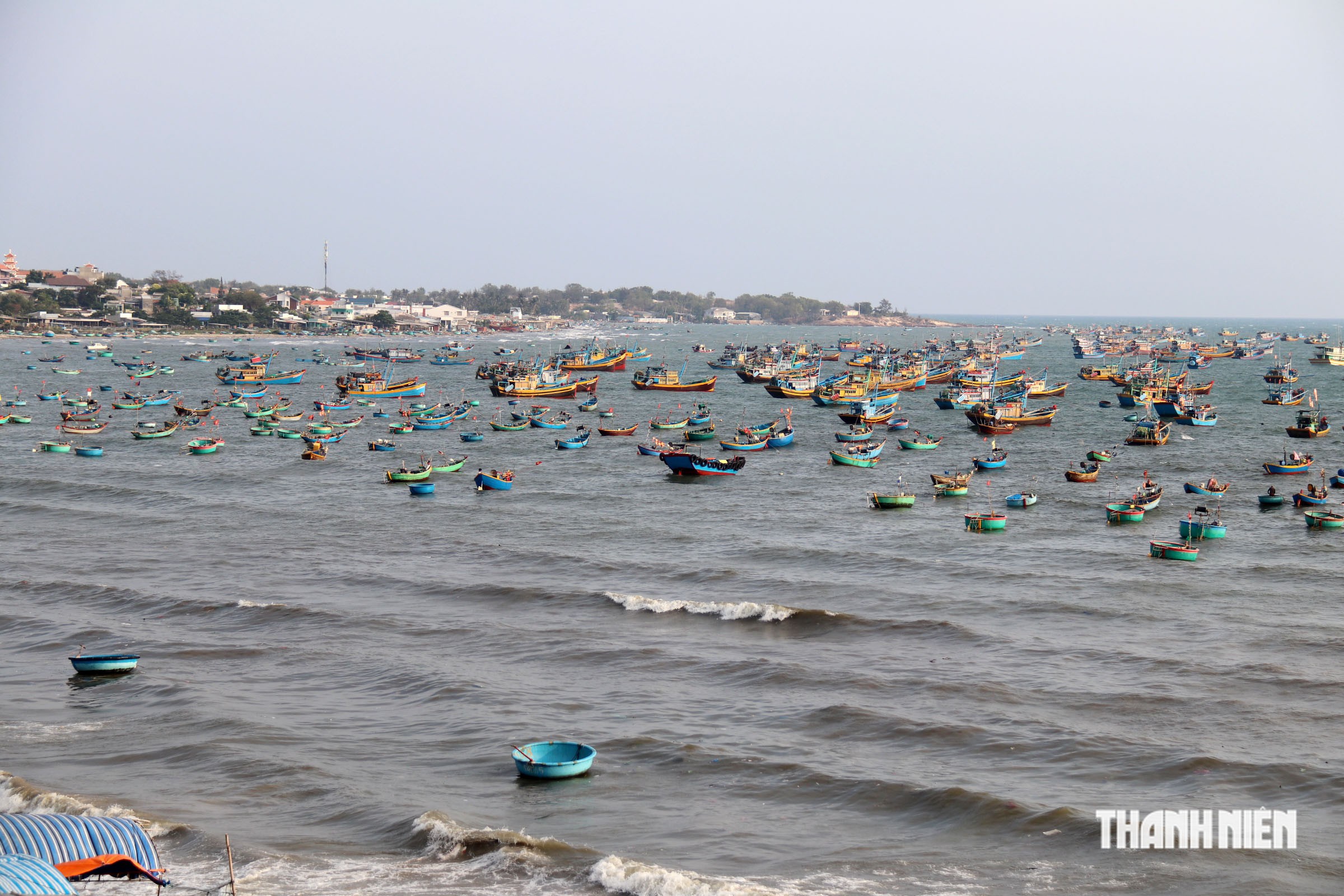 Lâm Đồng siết chống IUU, vẫn còn tàu cá vi phạm vùng biển nước ngoài - Ảnh 2.