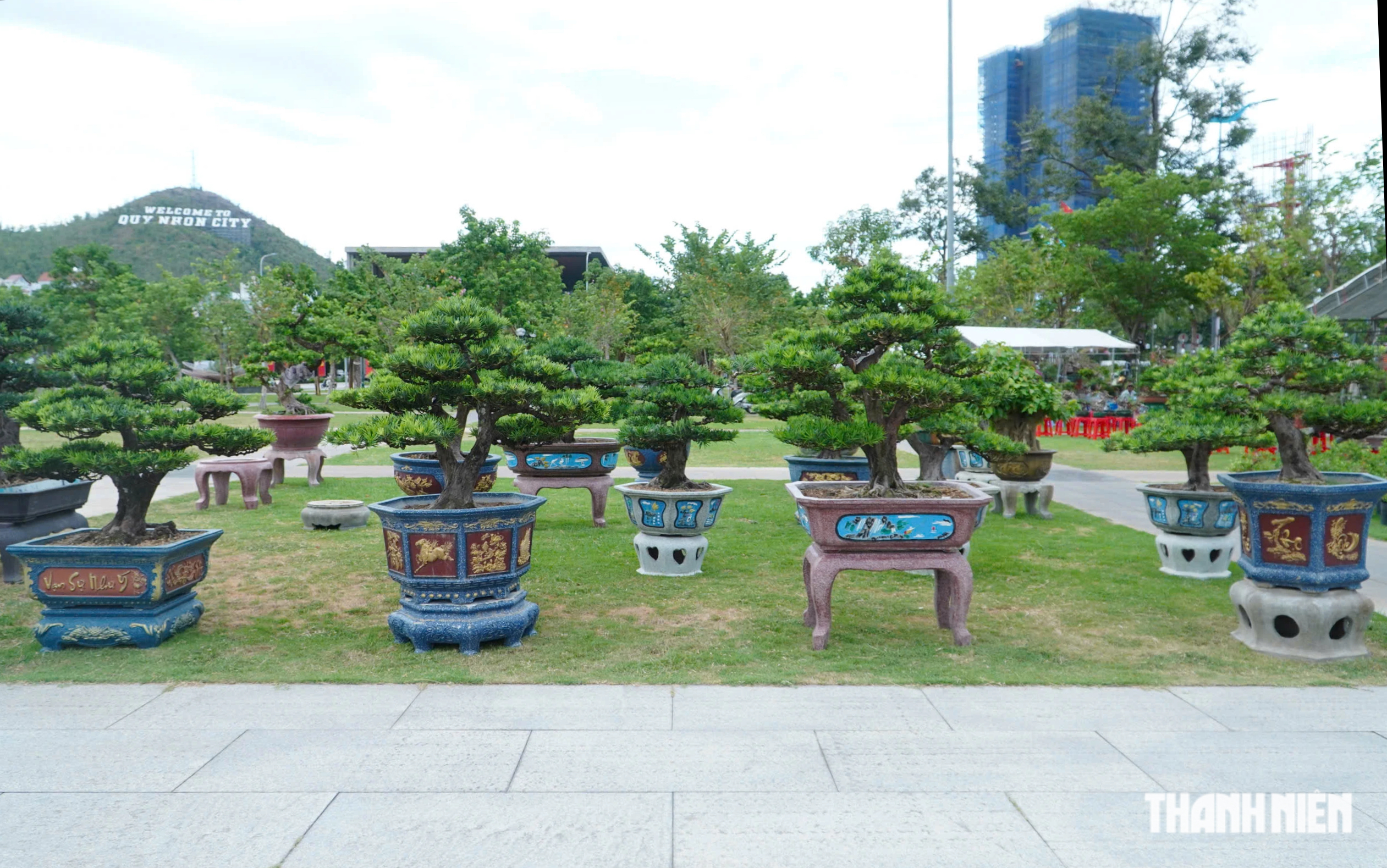 Độc lạ những chậu bonsai khủng, nặng hàng tấn mới xuất hiện tại Quy Nhơn - Ảnh 1.