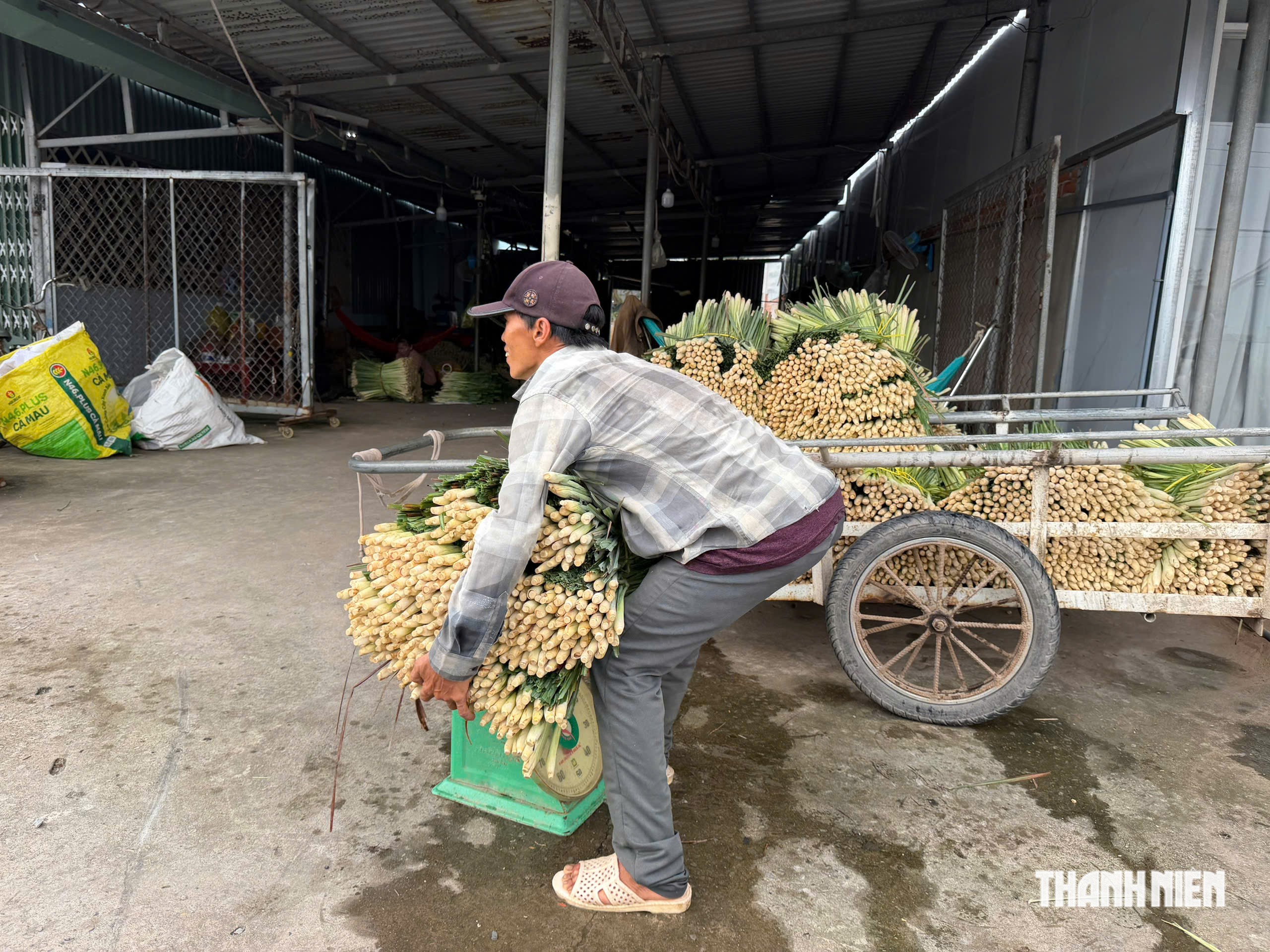 Gõ cửa 'xóm bóc sả' ở cù lao Tân Phú Đông- Ảnh 6.