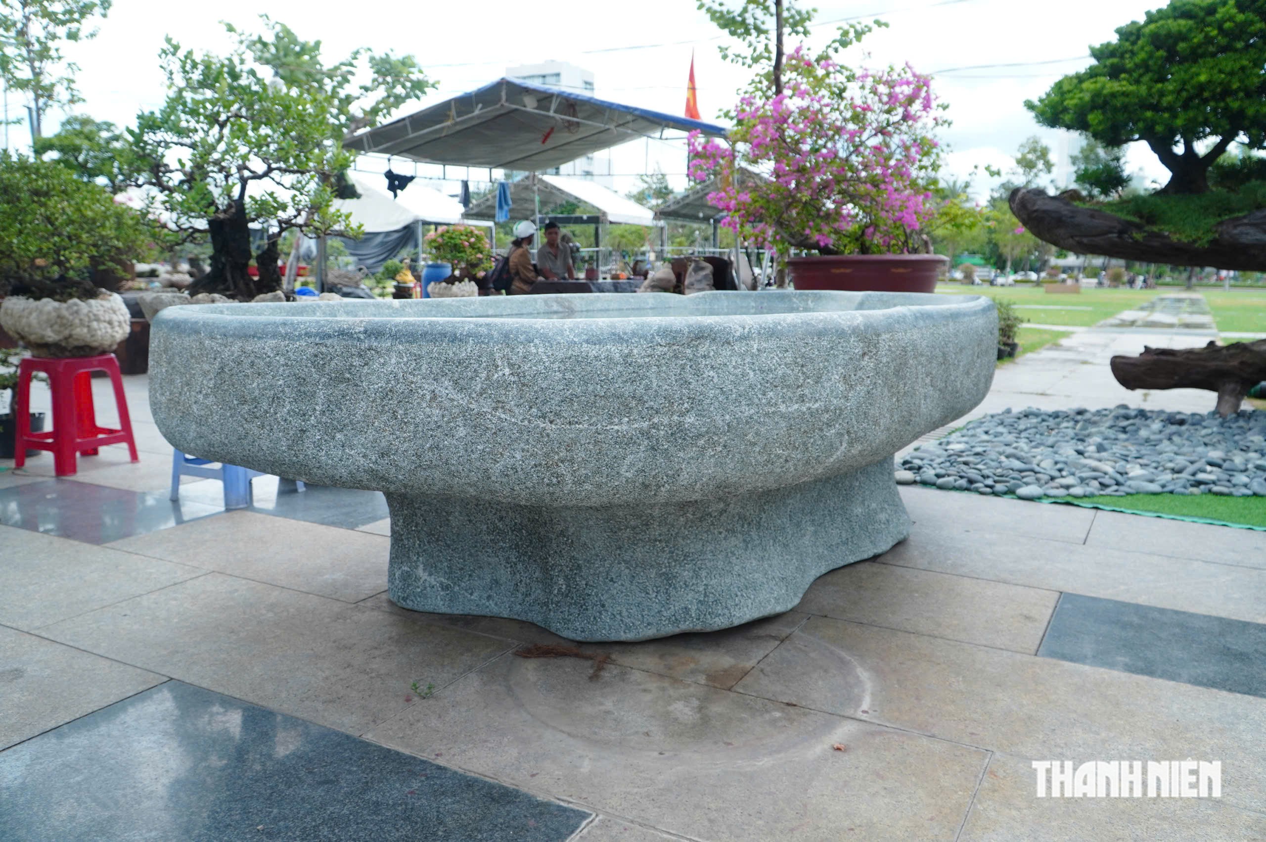 Độc lạ những chậu bonsai khủng, nặng hàng tấn mới xuất hiện tại Quy Nhơn - Ảnh 7.