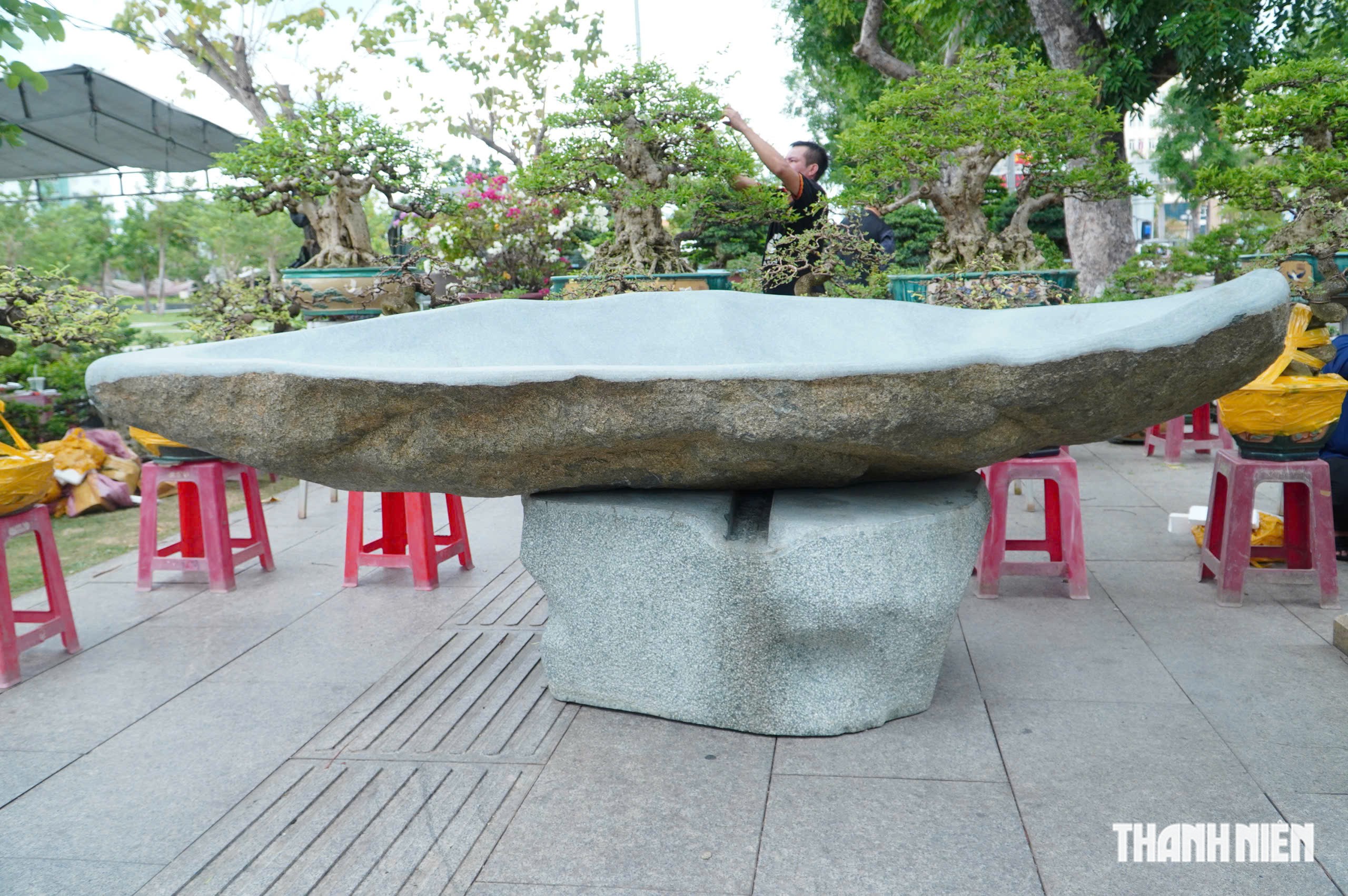 Độc lạ những chậu bonsai khủng, nặng hàng tấn mới xuất hiện tại Quy Nhơn - Ảnh 8.