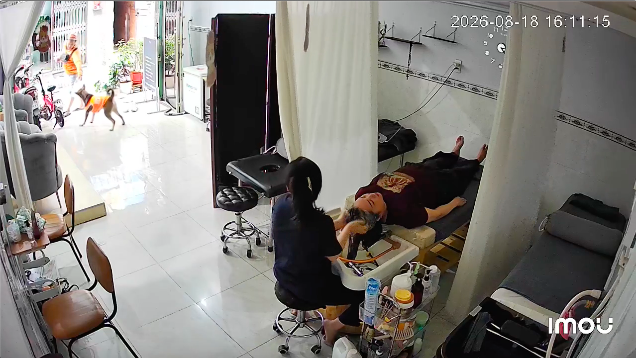 Chú chó tên Tèo nhận hàng giúp chủ nhà: Công việc quen thuộc, shipper ngạc nhiên - Ảnh 1.