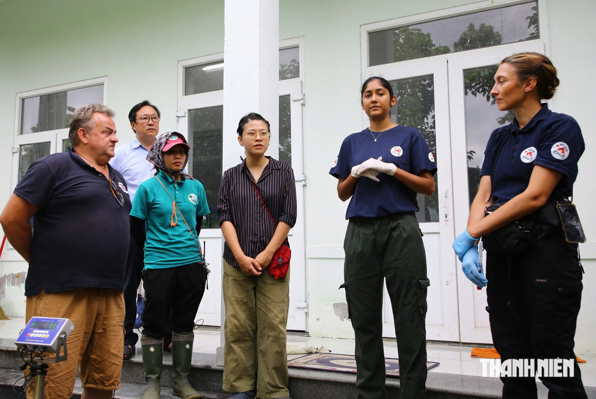 7 cá thể hổ ở Phong Nha được khám sức khỏe trước ngày sắp 'ra riêng' - Ảnh 4.