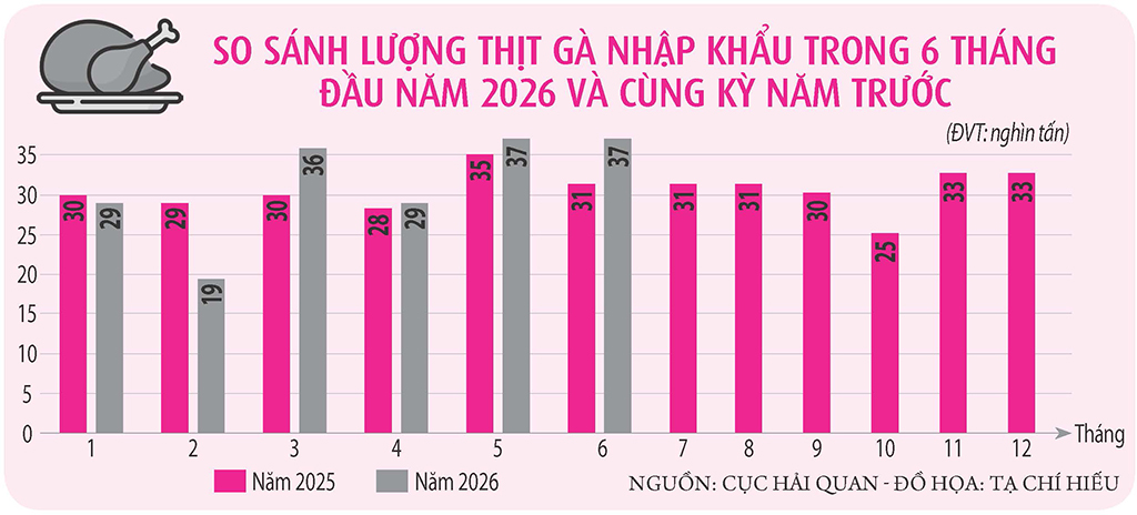 Vì sao thịt nhập khẩu tăng mạnh?- Ảnh 3.