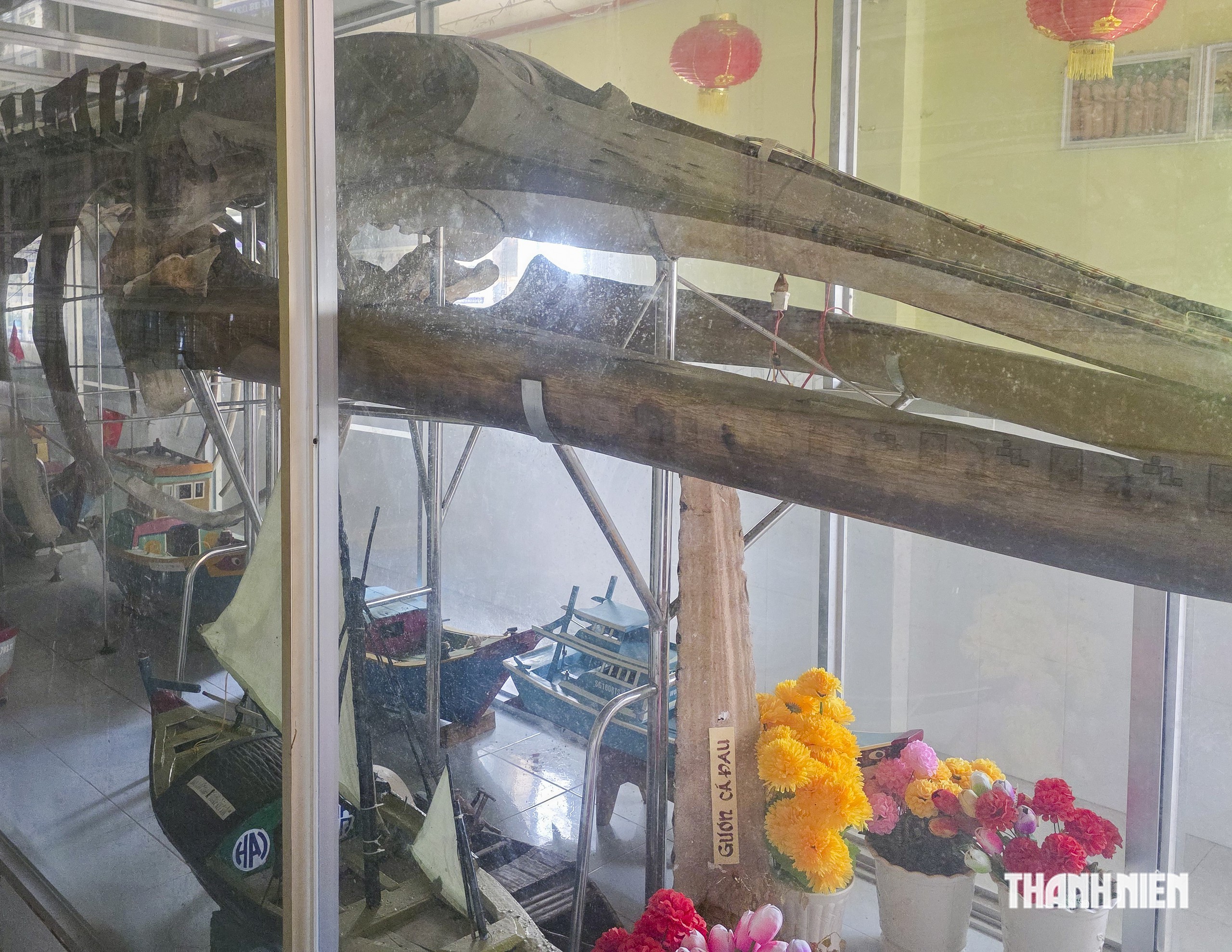 Con vật bước vào điện thờ ở TP.HCM: Cá Ông có 'triều đình binh tôm tướng cá'- Ảnh 6.