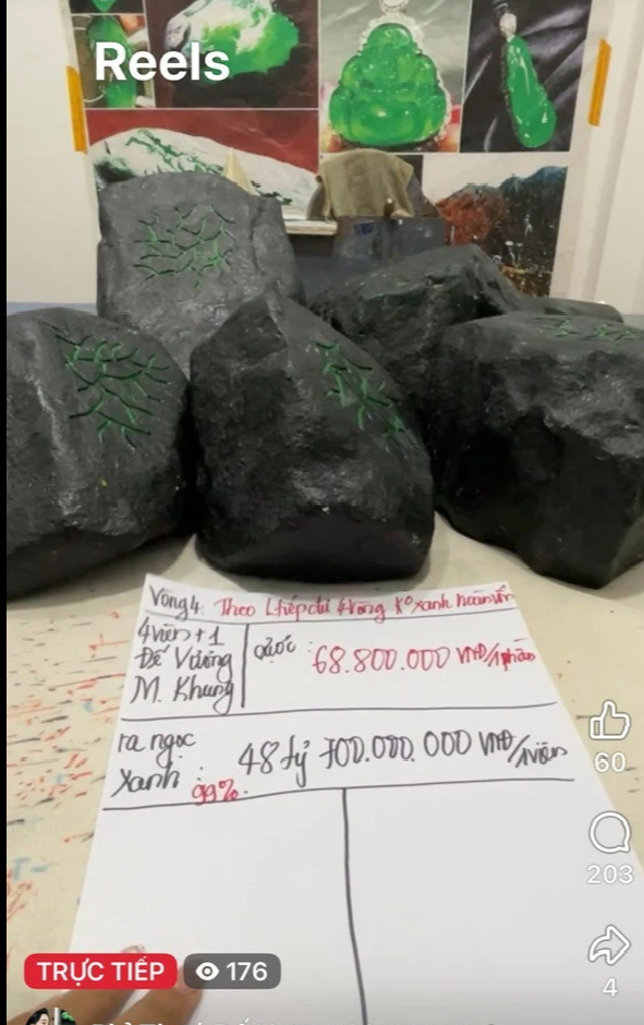Cạm bẫy cắt đá săn ngọc - Ảnh 1.