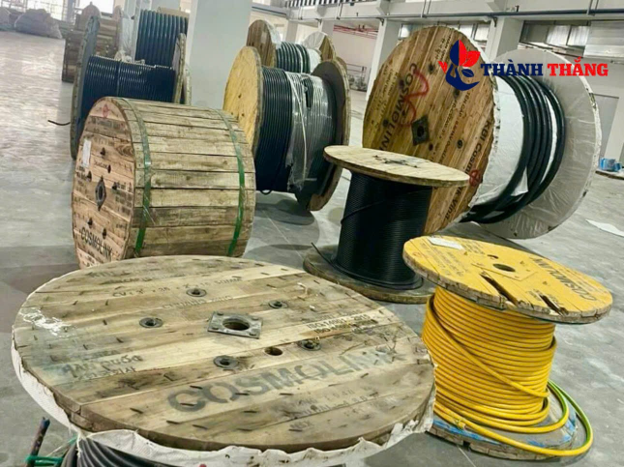 Công ty Phế liệu Thành Thắng hướng nguồn nguyên liệu vào chuỗi tái chế- Ảnh 2.