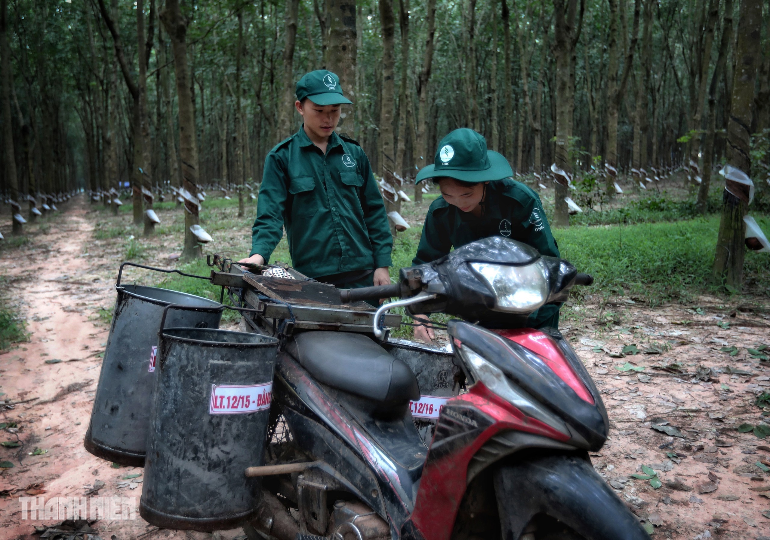 Từ Xín Mần đến rừng cao su phương Nam, người Mông tìm cơ hội đổi đời - Ảnh 2.