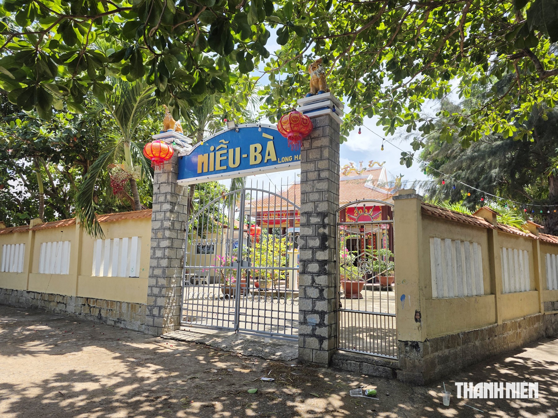 Con vật bước v&agrave;o điện thờ ở TP.HCM: R&ugrave;a biển l&agrave;m g&igrave; m&agrave; được gọi l&agrave; B&agrave;?- Ảnh 6.