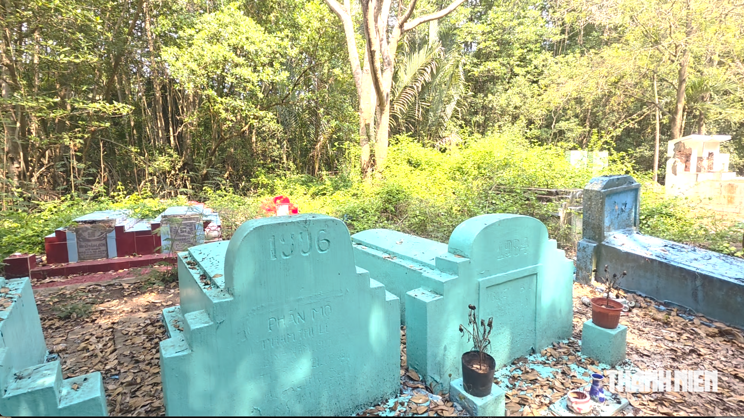 Con vật bước v&agrave;o điện thờ ở TP.HCM: Xuống Cần Giờ t&igrave;m x&oacute;m 'ăn thịt người'- Ảnh 8.