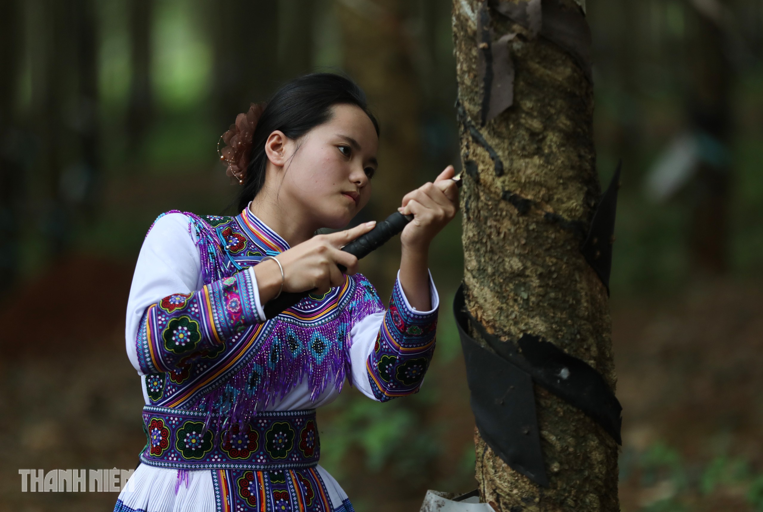 Từ Xín Mần đến rừng cao su phương Nam, người Mông tìm cơ hội đổi đời - Ảnh 16.