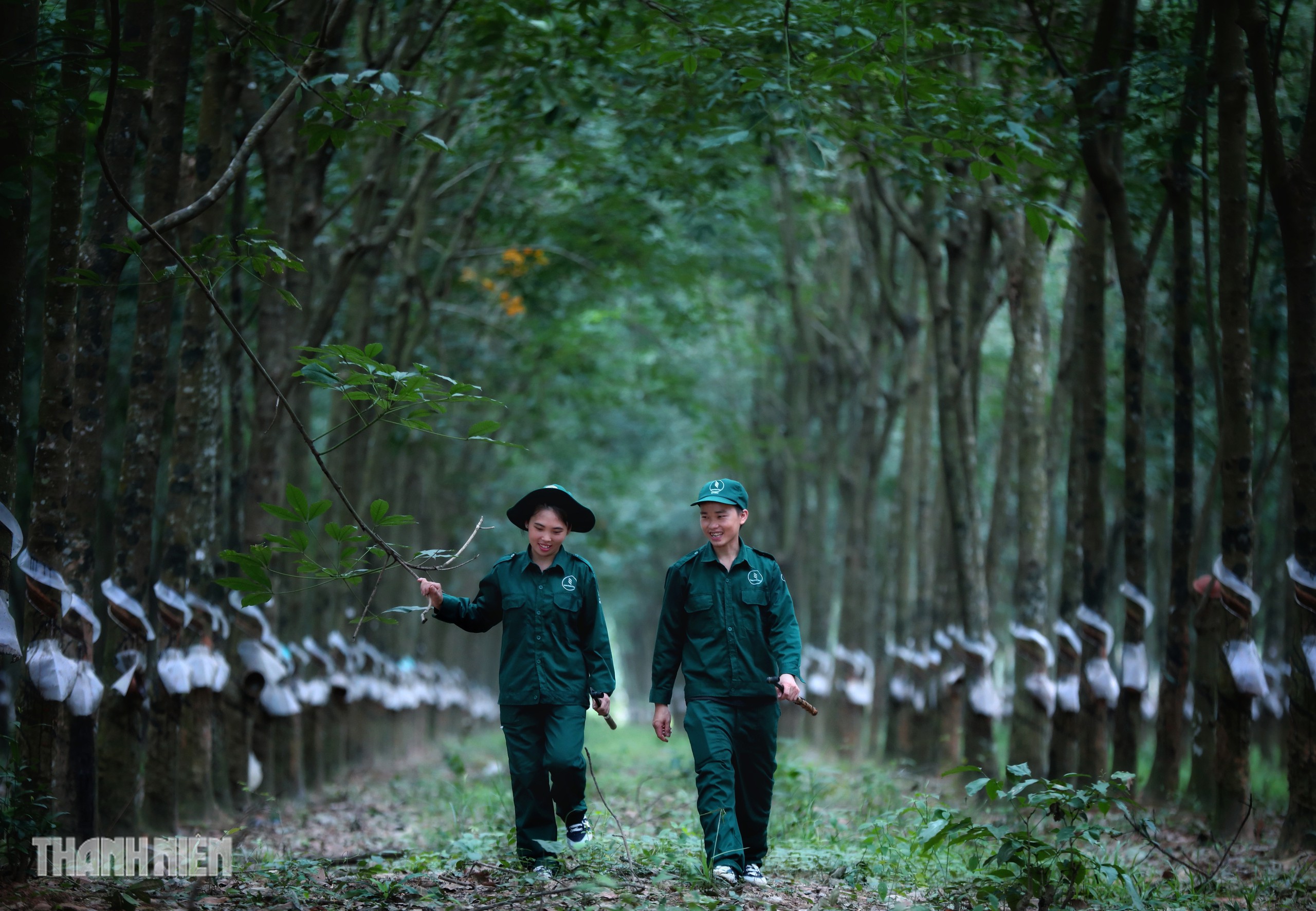 Từ Xín Mần đến rừng cao su phương Nam, người Mông tìm cơ hội đổi đời - Ảnh 1.
