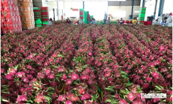L&acirc;m Đồng th&aacute;o gỡ nhiều điểm nghẽn để tăng trưởng 2 con số- Ảnh 2.