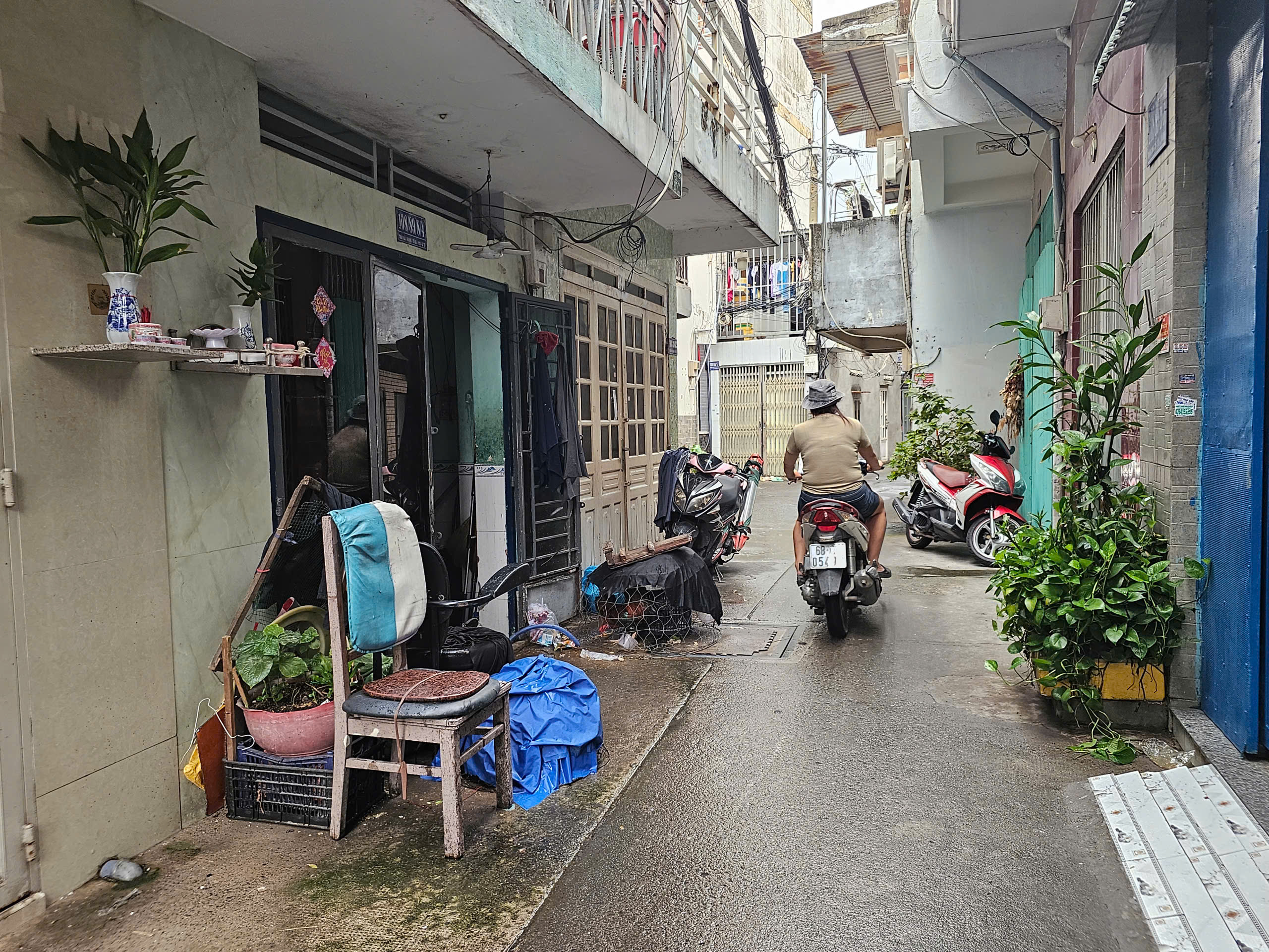 Khổ sở vì tiếng gà gáy giữa khu dân cư TP.HCM - Ảnh 3.