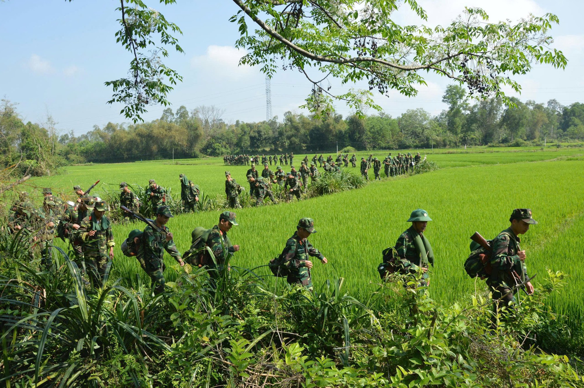 Đại đội ra đời năm 1945 v&agrave; h&agrave;nh tr&igrave;nh 81 năm của lực lượng vũ trang Đ&agrave; Nẵng- Ảnh 1.