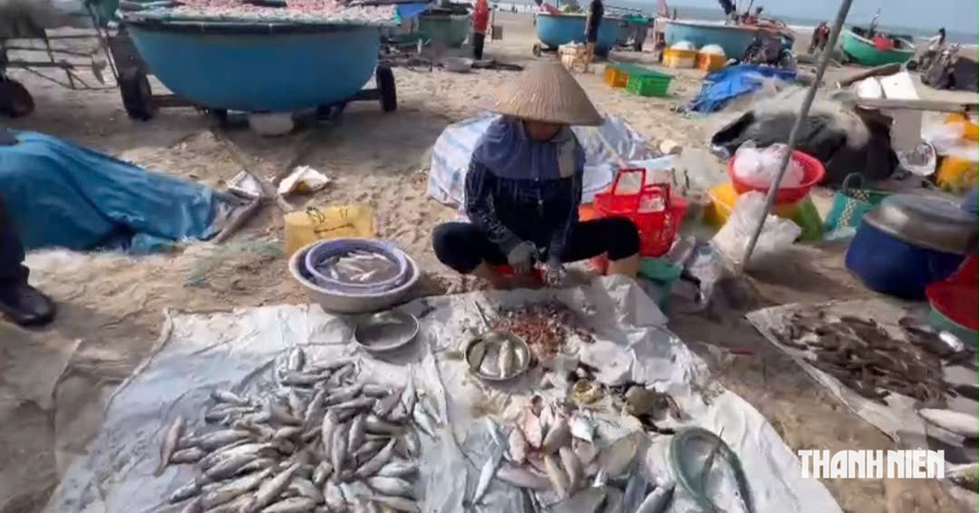 Ngày mai xử phạt tình trạng buôn bán tại chợ hải sản tự phát dưới bãi biển - Ảnh 1.