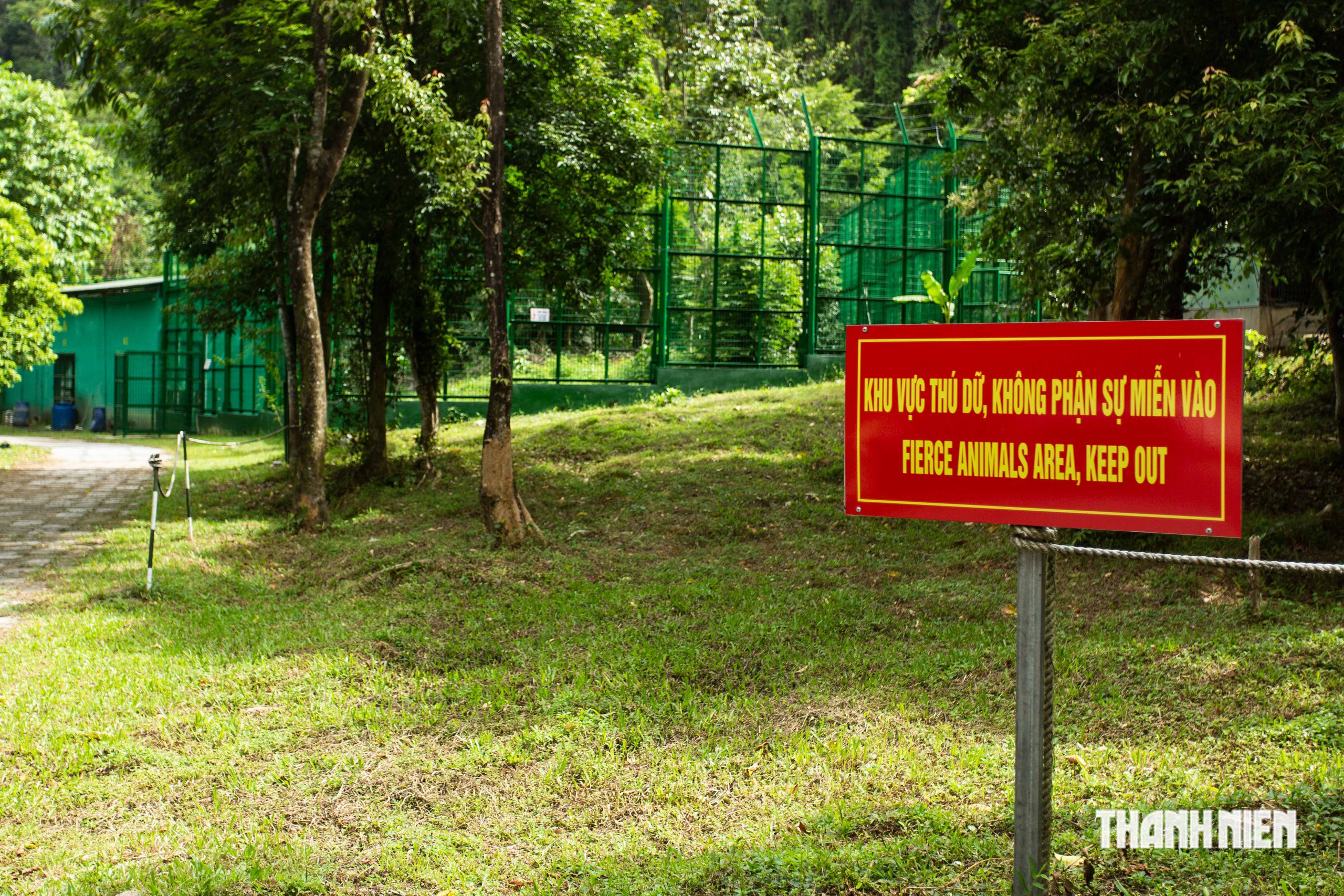Chuồng bán hoang dã của hổ Đông Dương ở Phong Nha được xây dựng như thế nào?- Ảnh 8.