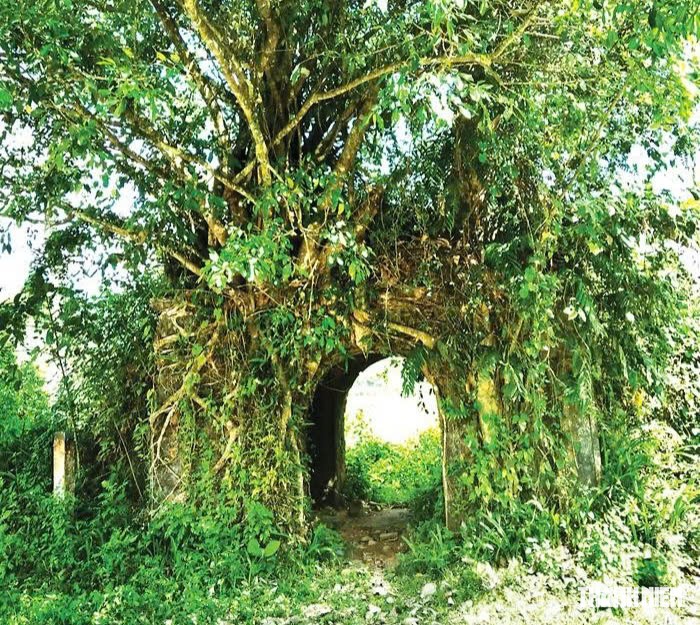 Người Kor Thọ An đổi đời khi rừng thành 'ngân hàng', đất hóa tiền- Ảnh 3.