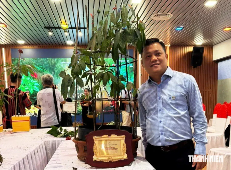 Củ sâm Ngọc Linh hơn 35 năm tuổi bán 725 triệu đồng có gì đặc biệt? - Ảnh 5.
