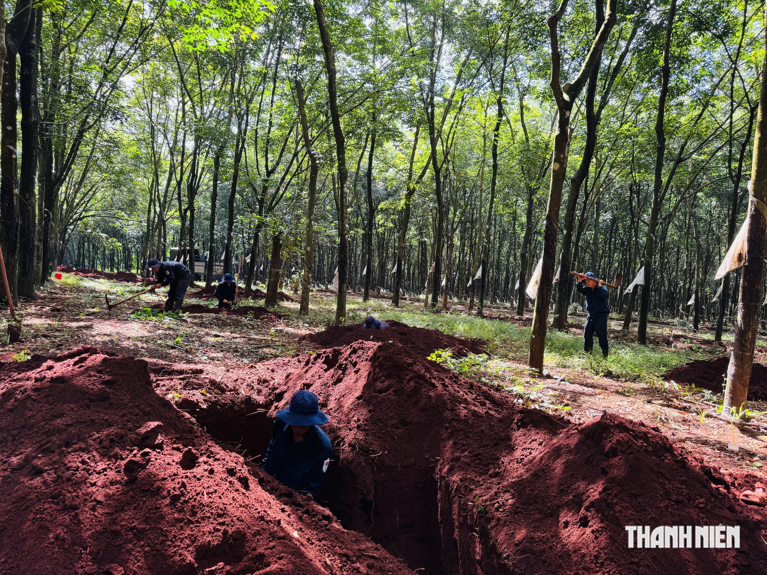 Đồng Nai: Tìm nhân chứng xác minh thông tin nghi có mộ tập thể 30 liệt sĩ- Ảnh 4.
