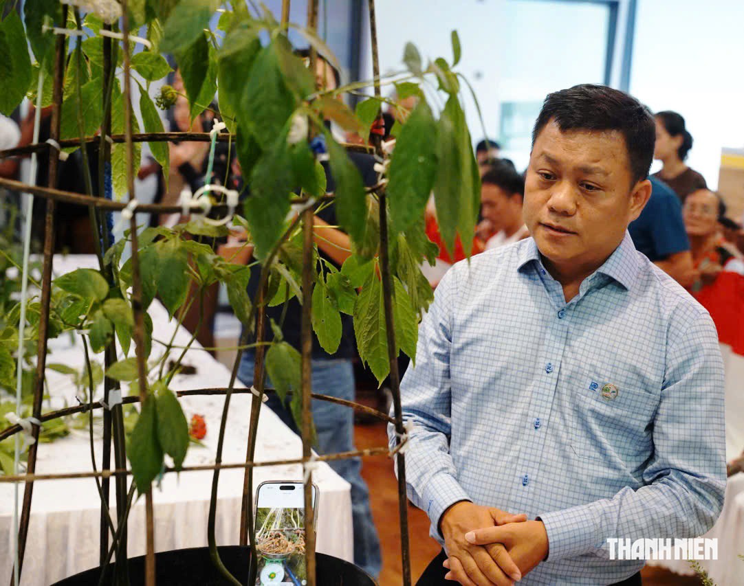 Củ sâm Ngọc Linh hơn 35 năm tuổi bán 725 triệu đồng có gì đặc biệt? - Ảnh 1.