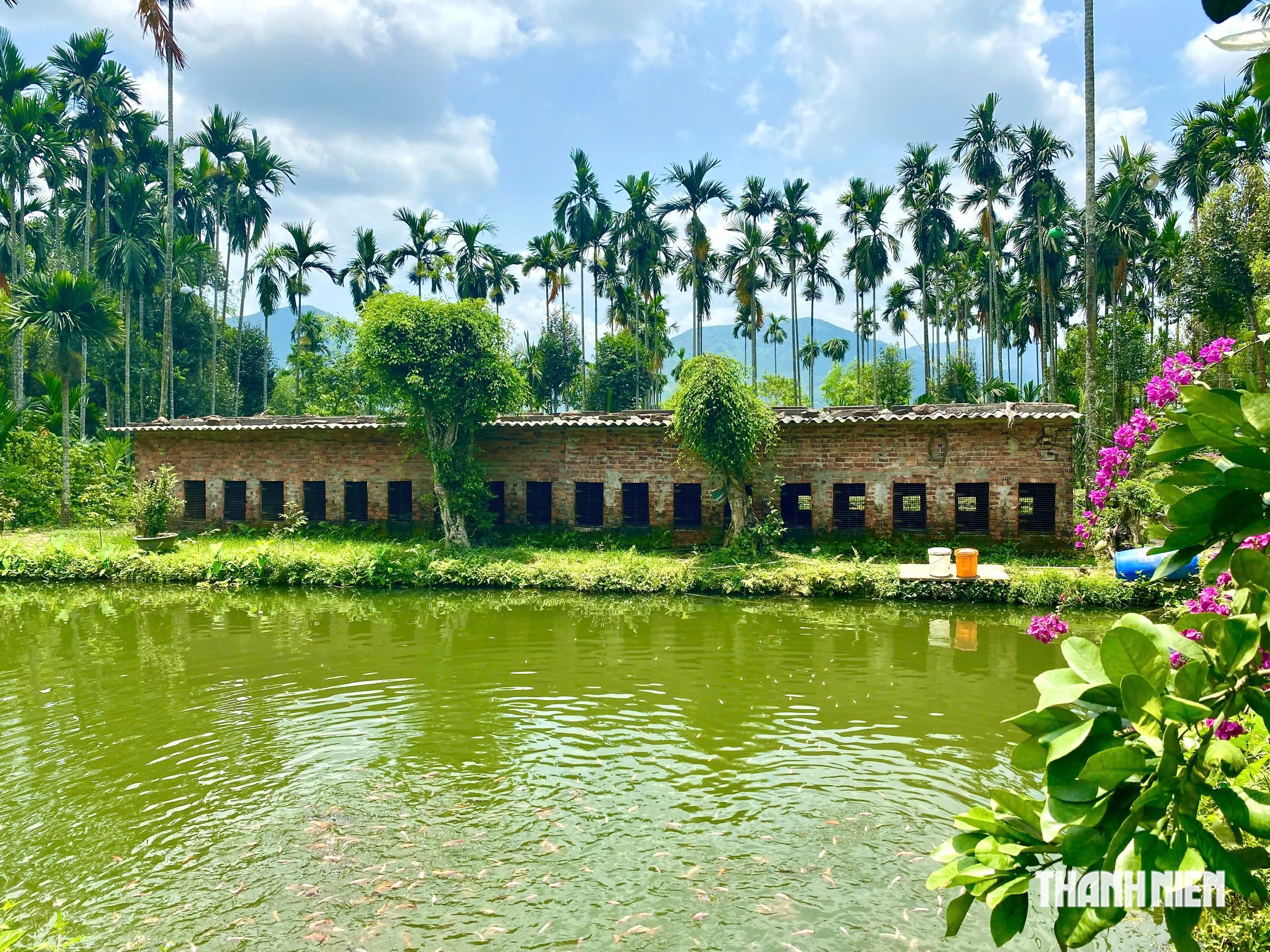 Làng nuôi chồn vòi hương bên sông Vệ - Ảnh 4.