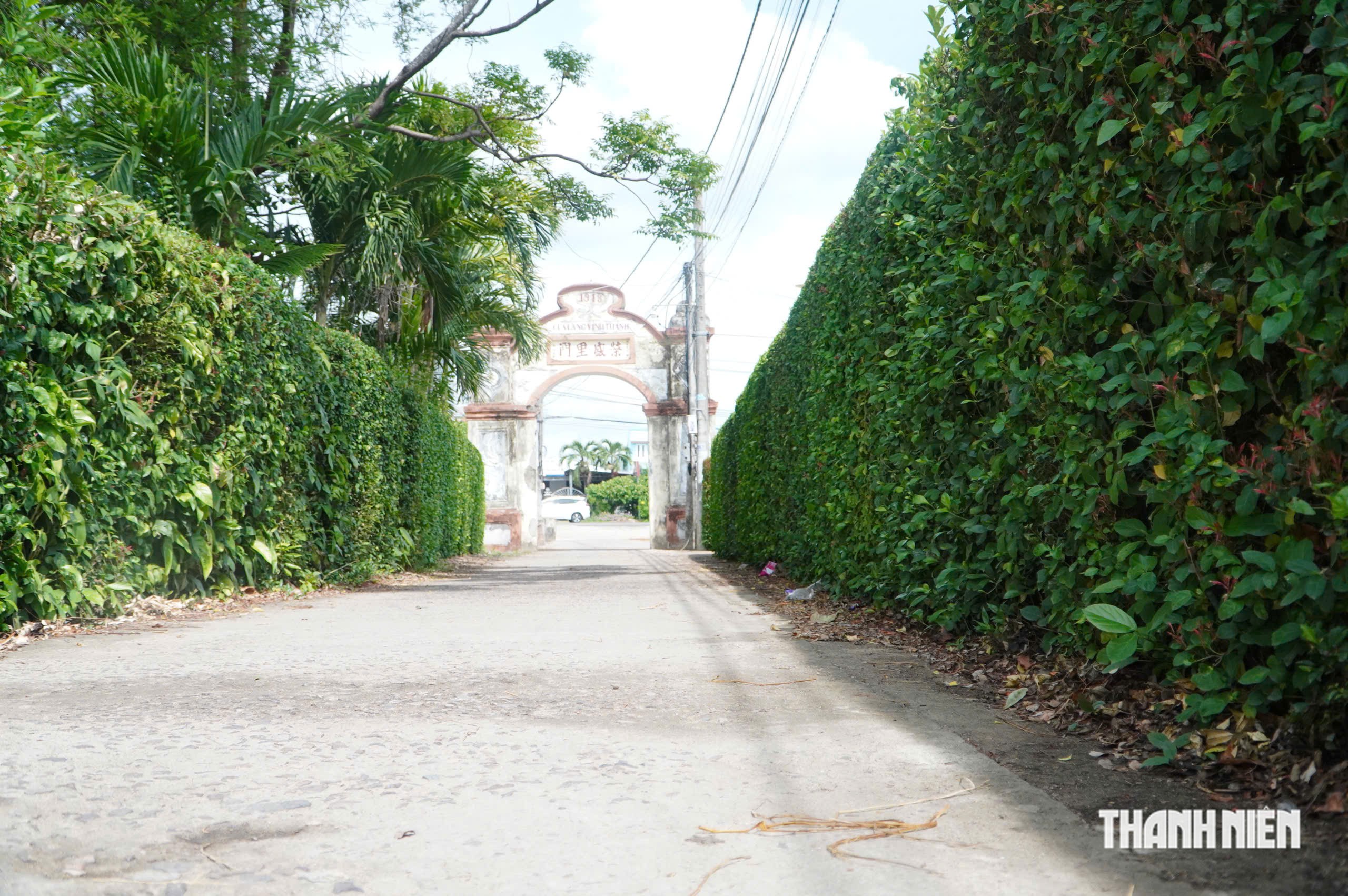 Những 'bức tường xanh' ở quê hương Đào Tấn - hậu tổ nghệ thuật tuồng - Ảnh 12.