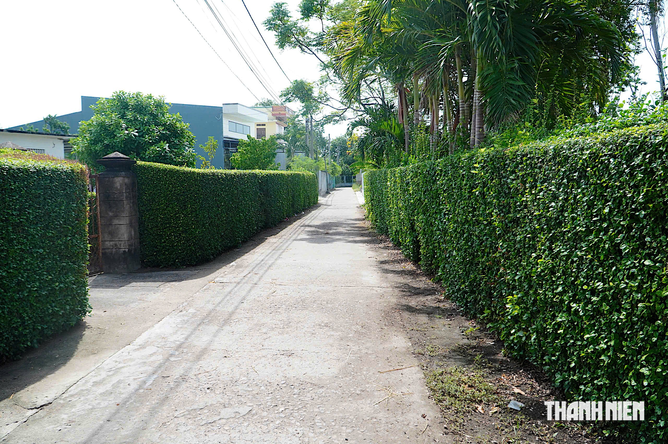 Những 'bức tường xanh' ở quê hương Đào Tấn - hậu tổ nghệ thuật tuồng - Ảnh 4.